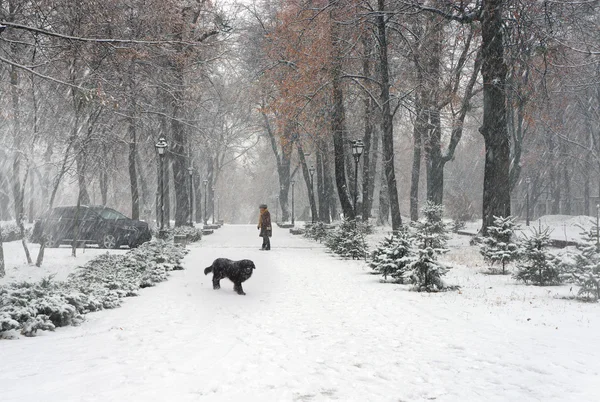 Nieve En la capital ucraniana —  Fotos de Stock