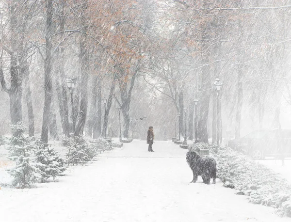 Mensen lopen in besneeuwde park — Stockfoto