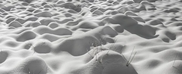 Snowy Karpat po blizzard — Zdjęcie stockowe