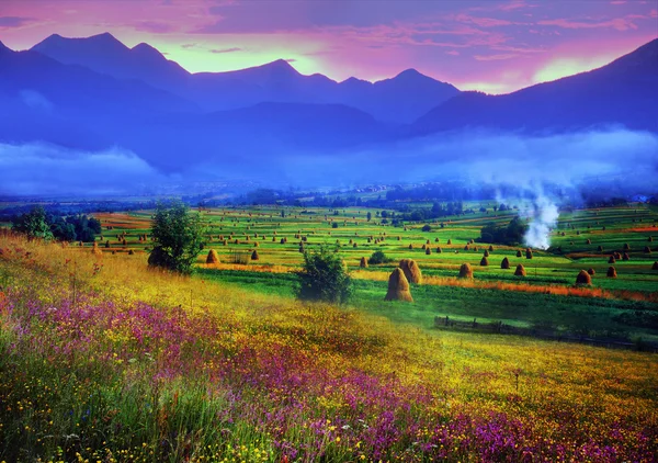 Summer in Carpathian mountains — Stock Photo, Image