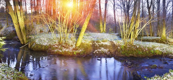 Lente bloemen sneeuwklokjes in de buurt van creek — Stockfoto