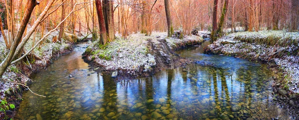 Bahar çiçekleri kardelen dere yakınındaki — Stok fotoğraf