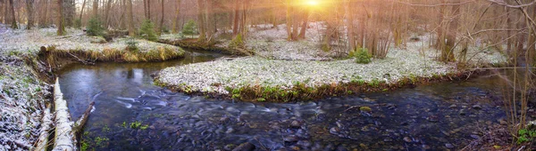 Spring flowers snowdrops near creek — Stock Photo, Image