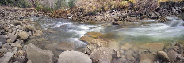 Berg rivier Black Cheremosh — Stockfoto