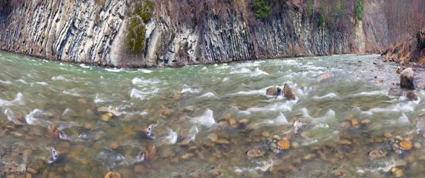 Fiume di montagna Cheremosh nero — Foto Stock