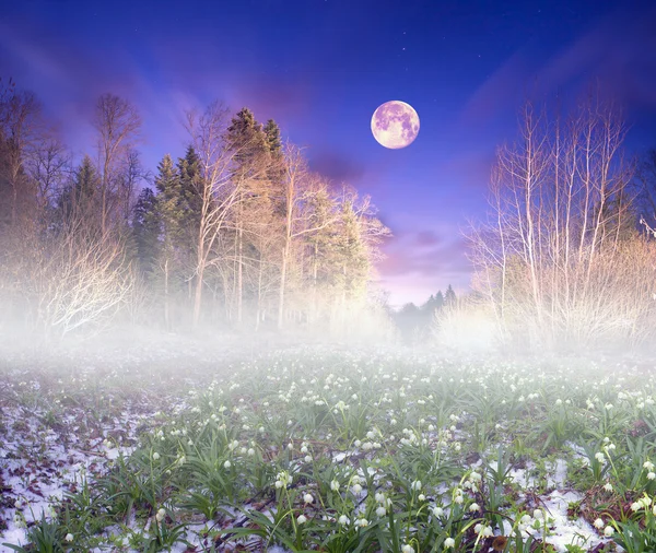 Mooie sneeuwklokjes nachts — Stockfoto