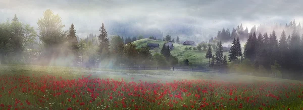 美丽的罂粟山 — 图库照片