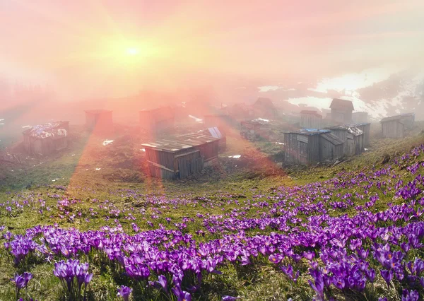 Abandoned village in mountains — Stock Photo, Image