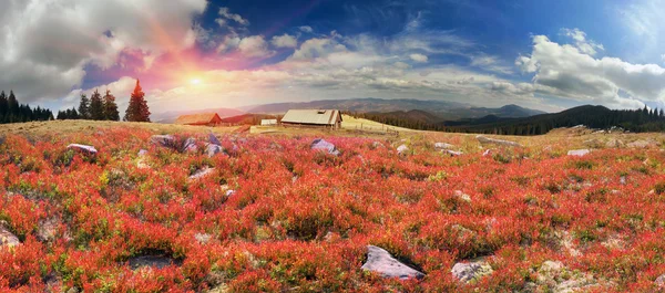 Alpejskie jesień w Gorgany — Zdjęcie stockowe