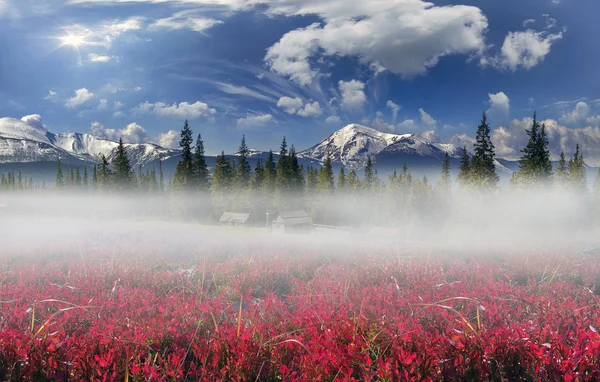 Chaînes de montagnes d'Ukraine — Photo