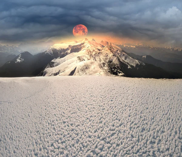 Montanhas Cárpatas no inverno — Fotografia de Stock