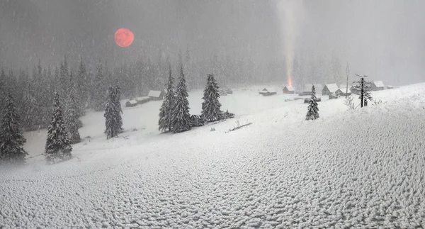 Schneebedeckte Winterbäume — Stockfoto