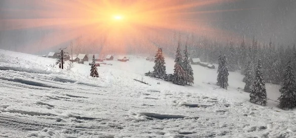 Karlı kış, ağaçlar — Stok fotoğraf