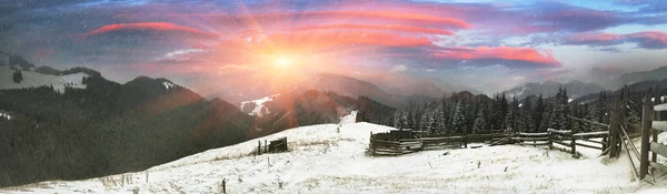 Blizzard Karpat Dağları kaplı — Stok fotoğraf