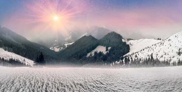 Карпатские горы на рассвете — стоковое фото