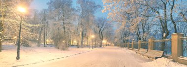 Mariinsky garden in winter clipart