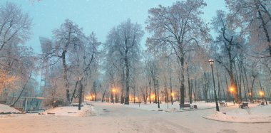 Mariinsky garden in winter clipart