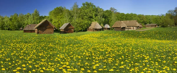 Museum van architectuur in Pirohovo — Stockfoto