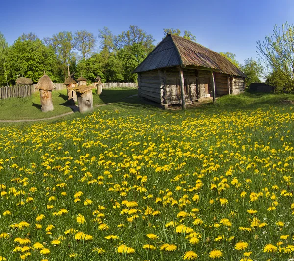 Museum van architectuur in Pirohovo — Stockfoto