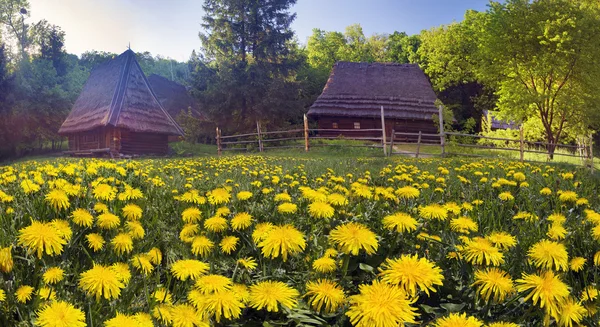 Музей архітектури у Pirohovo — стокове фото