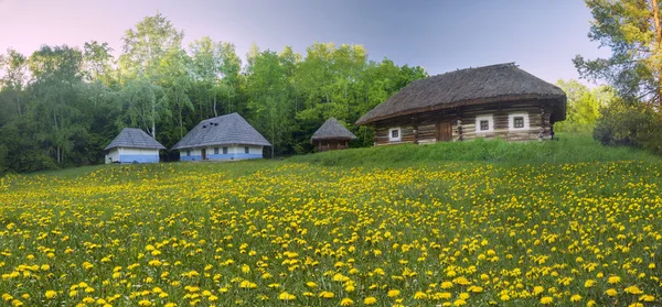 Muzeum architektury w Pirohovo — Zdjęcie stockowe