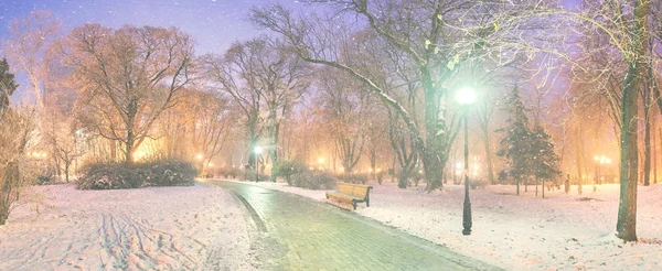 Mariinsky tuin tijdens slecht weer — Stockfoto