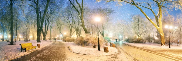 Mariinsky tuin tijdens slecht weer — Stockfoto