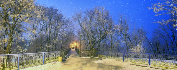 Mariinsky jardín en invierno — Foto de Stock