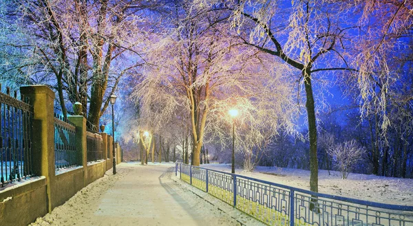 Mariinsky téli kert — Stock Fotó