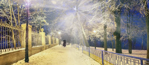 Mariinsky Gardenben zord időjárás — Stock Fotó