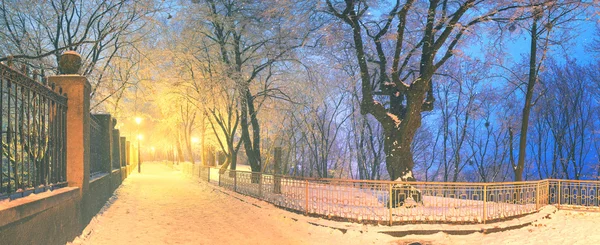 Mariinsky jardín en invierno —  Fotos de Stock