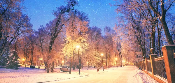 Мариинский сад зимой — стоковое фото