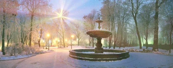 Mariinsky Garten im Winter — Stockfoto