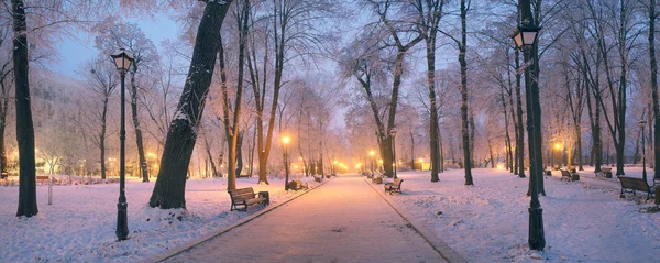 Mariinsky jardim no inverno — Fotografia de Stock