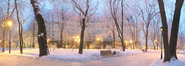 Mariinsky tuin in de winter — Stockfoto