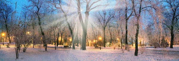 Mariinsky jardim no inverno — Fotografia de Stock