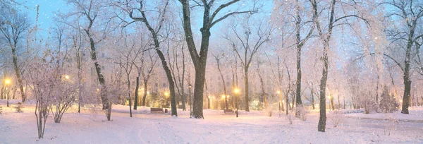 Mariinsky jardín en invierno —  Fotos de Stock