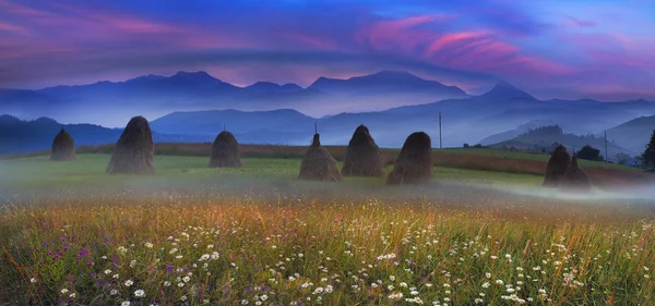 Alpine meadow with haystacks — Stock Photo, Image