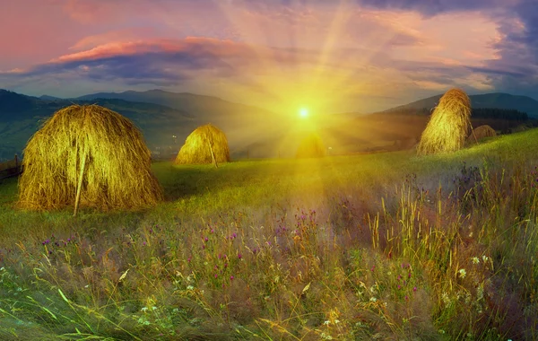 Alpine meadow with haystacks — Stock Photo, Image