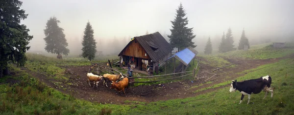 Dům pastevci v Karpatech — Stock fotografie