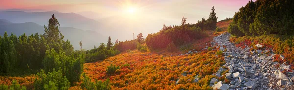 Floresta de outono em montanhas — Fotografia de Stock