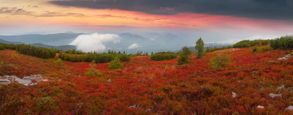 Осенний лес в горах — стоковое фото