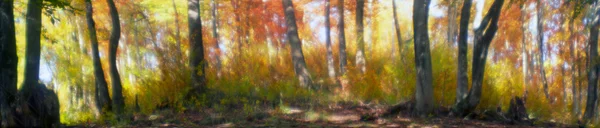 Jesień las w górach — Zdjęcie stockowe