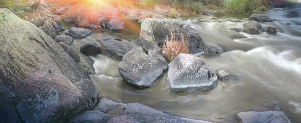 Rio inseto do sul — Fotografia de Stock