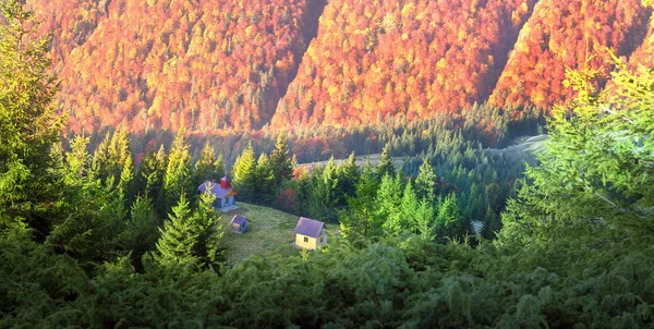Chaty v lese na podzim — Stock fotografie