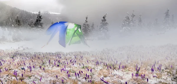 Ośnieżonych górskich namiot — Zdjęcie stockowe