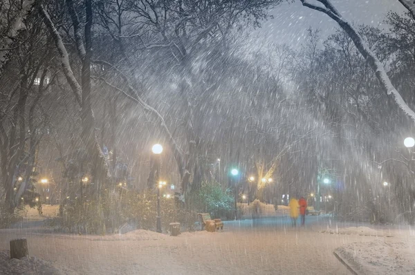 Mariinsky Garten bei schlechtem Wetter — Stockfoto