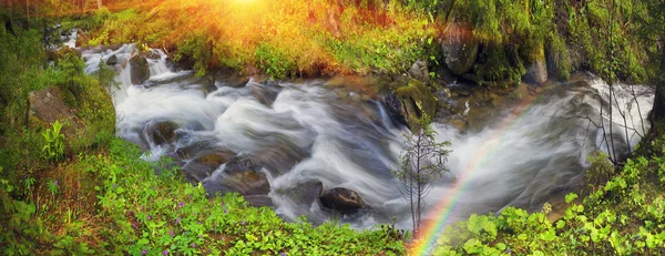 Άγριο δάσος creek — Φωτογραφία Αρχείου