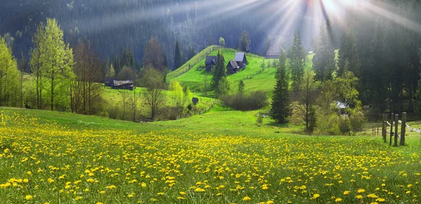 Antico casale e fiori selvatici — Foto Stock