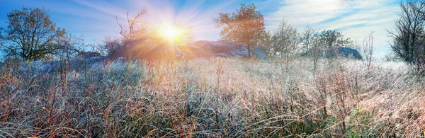 Erba autunnale splendente di brina — Foto Stock